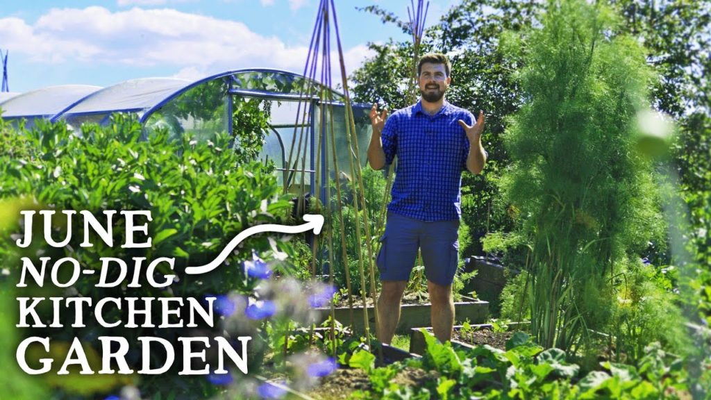 Huw Richards: June TOUR! My Edible Permaculture Garden Using Raised Beds🌱 June TOUR! My Edible Permaculture Garden Using Raised Beds🌱