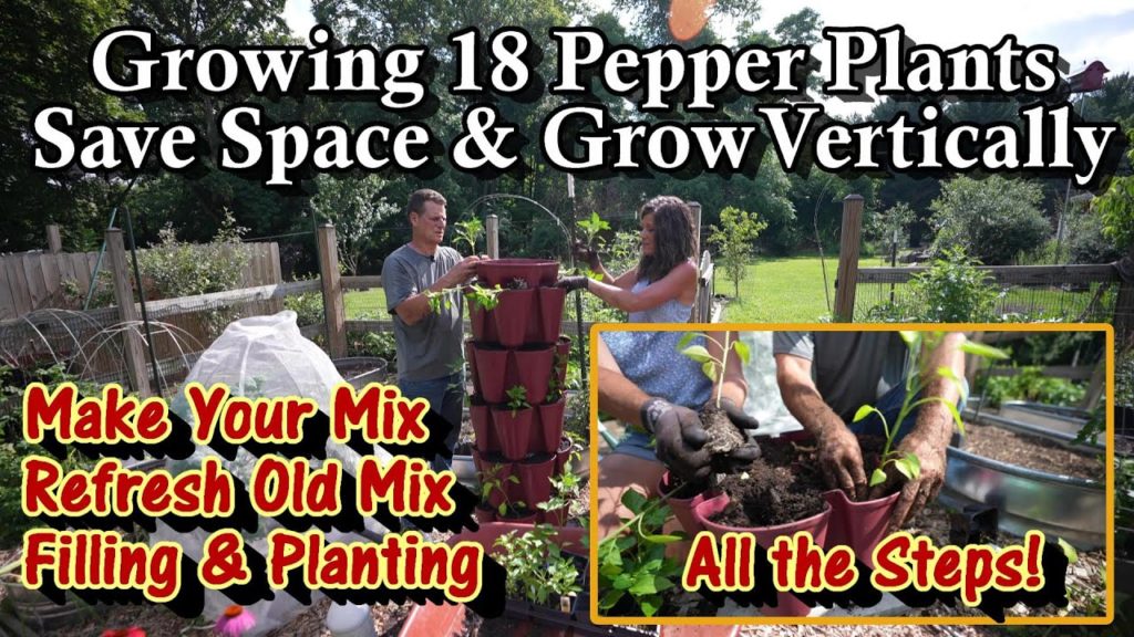 Growing 18 Peppers Vertically - Making or Refreshing Container Mix, Fertilizing & Building the Tower
