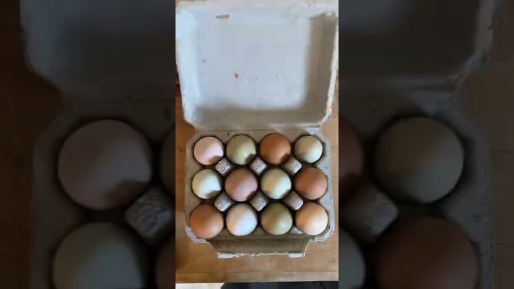 I have a grocery store in my front yard