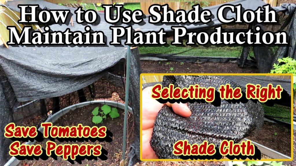Beat the Heat - How to Select & Use Shade Cloth in Your Garden: Keep Tomatoes & Peppers  Producing!