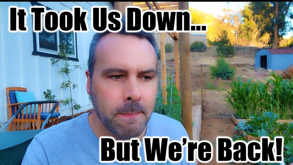 Covid, Garden Tour and EXCITING NEWS