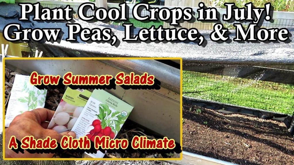 Gary Pilarchik: How to Grow 'Cool Crops' in the Summer Heat Using Shade Cloth – Start Your Fall Garden in July! How to Grow 'Cool Crops' in the Summer Heat Using Shade Cloth - Start Your Fall Garden in July!