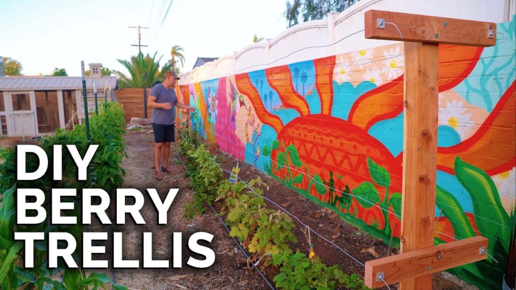 Epic Gardening: How To Build A Raspberry Trellis | Keep Your Berries Producing For YEARS! How To Build A Raspberry Trellis | Keep Your Berries Producing For YEARS!