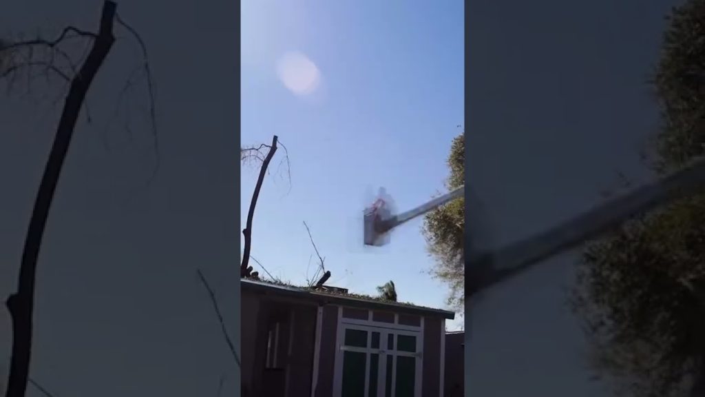 Turning my neighbor's trees into mulch