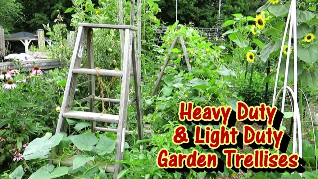 Gary Pilarchik: Light & Heavy Duty Trellis Designs for Melons, Beans, Cucumbers, Tomatoes, & More: Growth Examples! Light & Heavy Duty Trellis Designs for Melons, Beans, Cucumbers, Tomatoes, & More: Growth Examples!