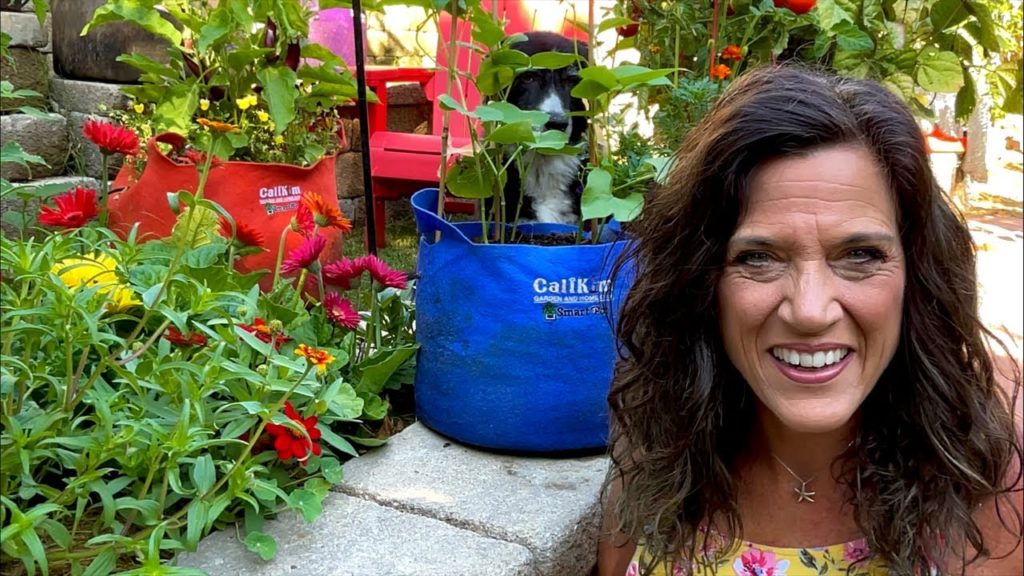 🍅LIVE: Quick & Simple Tips  to Keep Your Container Garden Producing All Summer Long (REPLAY)