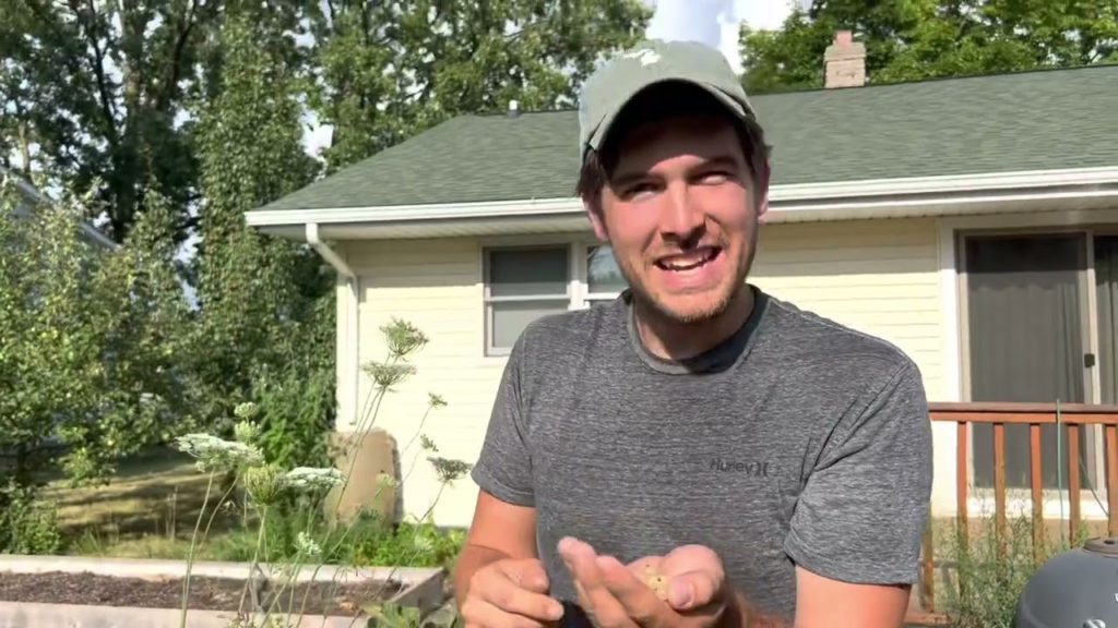 Harvesting Our Currants to Make Jam & Jelly