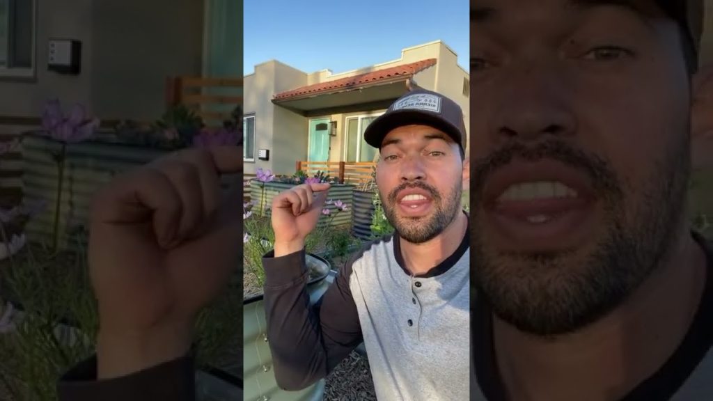 My washing machine waters my garden