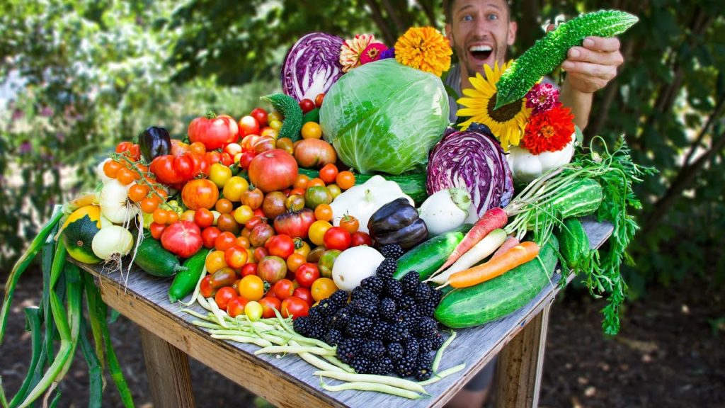 James Prigioni: Permaculture Backyard Gardening Harvest, Sustainable Food Forest Garden Permaculture Backyard Gardening Harvest, Sustainable Food Forest Garden