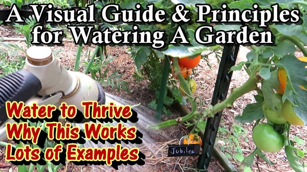 Gary Pilarchik: How to Really Water a Vegetable Garden: The Principles & Visual Examples for a Thriving Garden How to Really Water a Vegetable Garden: The Principles & Visual Examples for a Thriving Garden