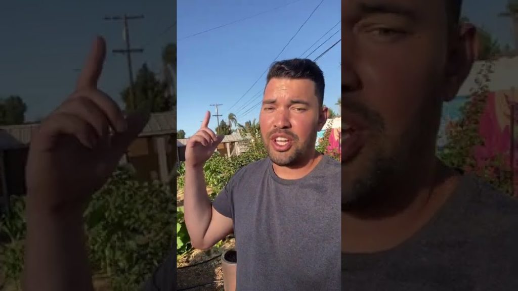 I built Stardew Valley in real life...