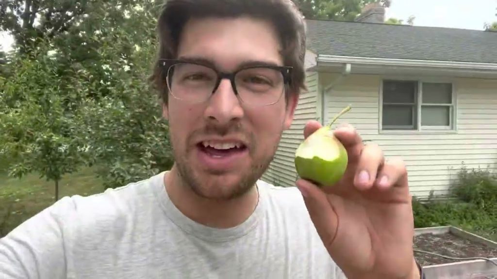 Late July Harvest and Garden Tour