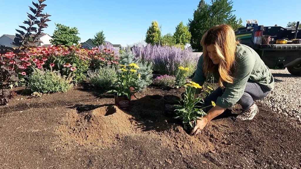 Planting 5 Varieties of Echinacea -  They LOVE the Heat! 🔥🌿🌻 // Garden Answer