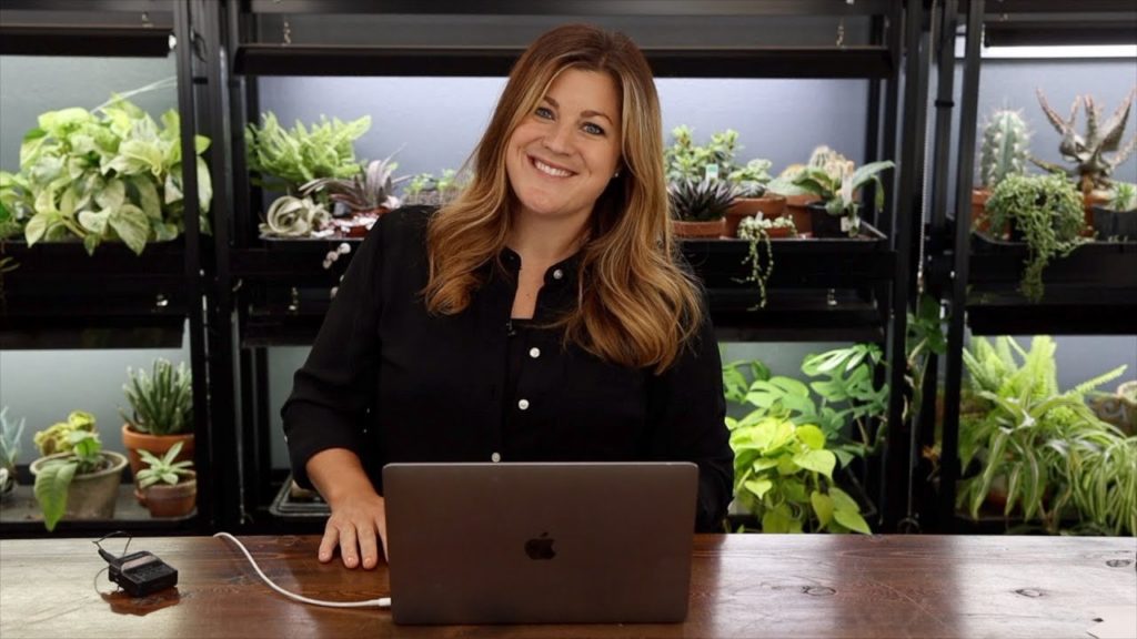 Is This Your Forever Home? // How Long Are Seeds Good For? // Recap 🌿