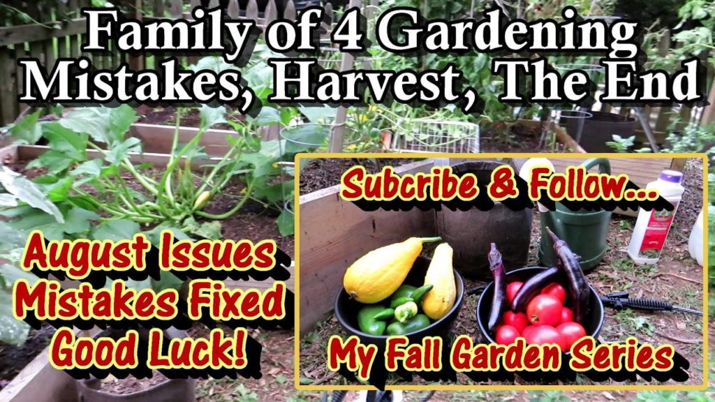 Gary Pilarchik: Family of 4 Vegetable Gardening E-7: My 3 Big Mistakes & Fixes, Harvest, August Garden Care, & More Family of 4 Vegetable Gardening E-7: My 3 Big Mistakes & Fixes, Harvest, August Garden Care, & More