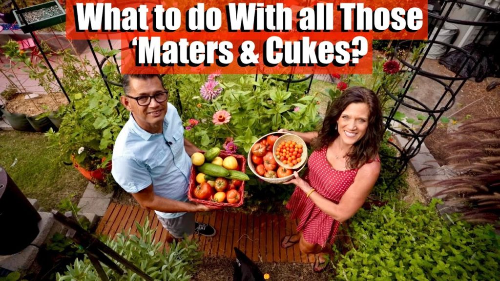 CaliKim: What to do With All Those 'Maters and Cukes?  ๐
๐ฅ  Easy Garden-to-Table Meal What to do With All Those 'Maters and Cukes?  ๐
๐ฅ  Easy Garden-to-Table Meal