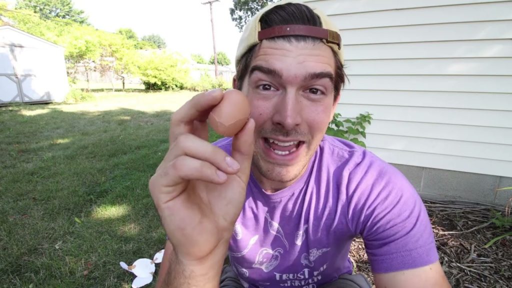 3 MYTHS About Using Eggshells In The Garden