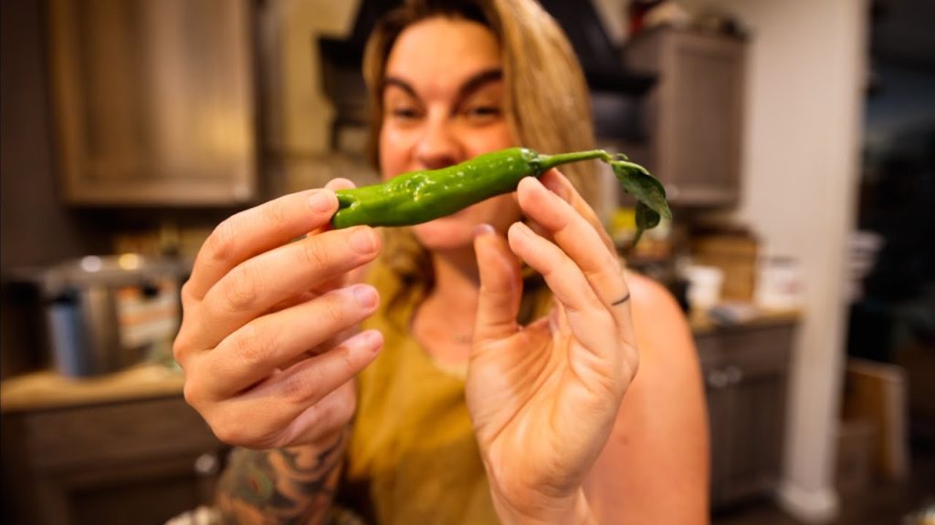 Blistered Shishito Peppers | Using the Harvest