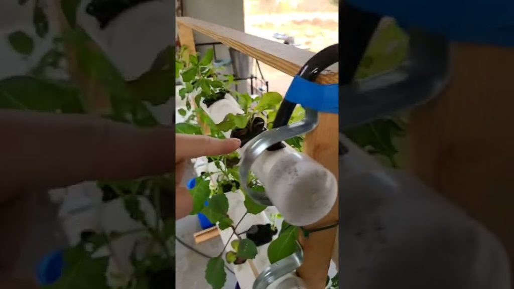 Vertical hydroponic system with PVC pipes