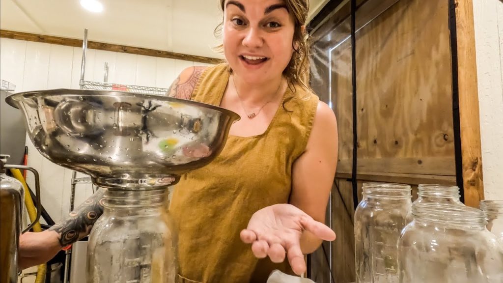 The Scoop on our Growing Dairy Herd (Milk with Me) | VLOG