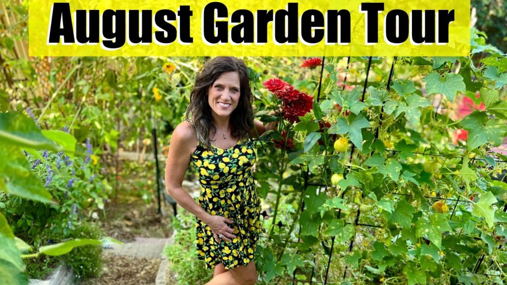 CaliKim: August Garden Tour – Reap the Rewards & Lots of Garden Tips! π
ππ₯π»πΊ August Garden Tour - Reap the Rewards & Lots of Garden Tips! π
ππ₯π»πΊ