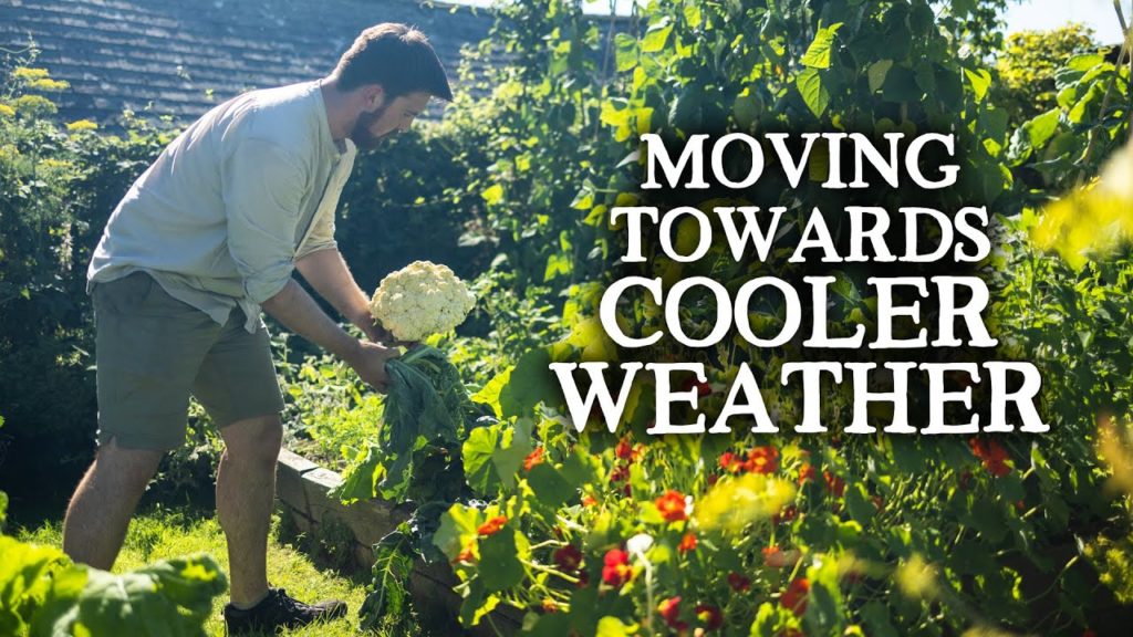 Huw Richards: Sowings and Strategies in August for Autumn Harvests Sowings and Strategies in August for Autumn Harvests