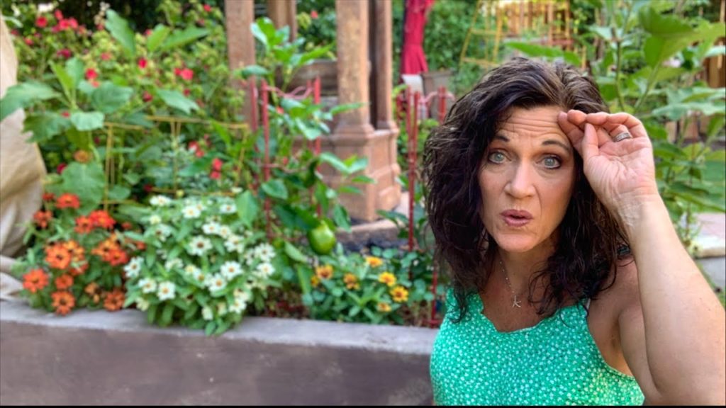 🍅LIVE: How to Avoid/Deal with Summer Garden Burnout (REPLAY)