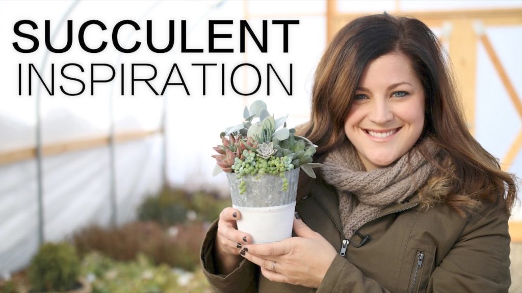 Succulent Inspiration // Garden Answer