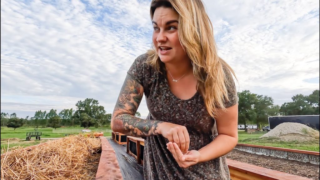 Sowing Fall Seeds (& Chatting Homestead Things) | VLOG