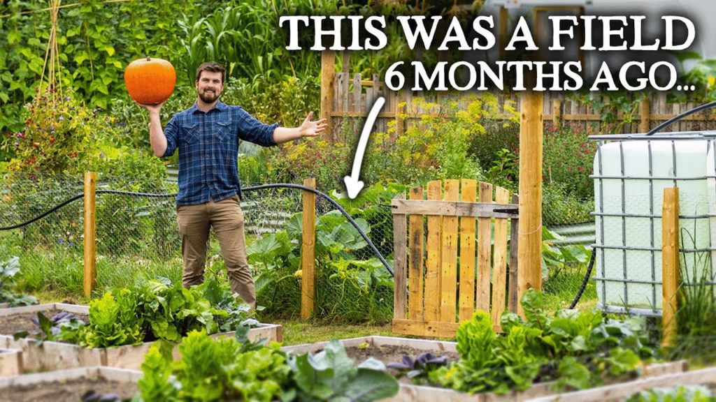 Huw Richards: HUGE No Dig Vegetable Gardening Project (Only 6 Months Old!) HUGE No Dig Vegetable Gardening Project (Only 6 Months Old!)