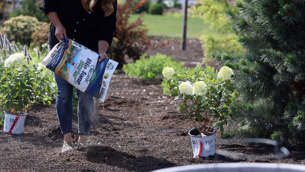 Garden Answer: Planting Lilacs, Hydrangeas & Caryopteris! 🌿🙌🌿 // Garden Answer Planting Lilacs, Hydrangeas & Caryopteris! 🌿🙌🌿 // Garden Answer