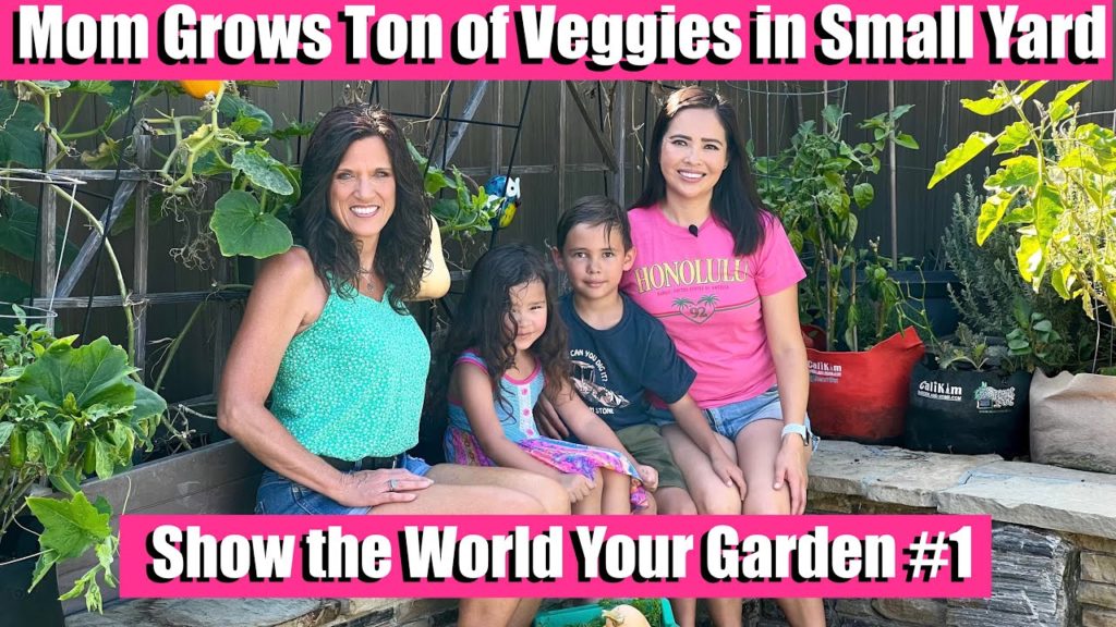 CaliKim: Mom Grows a TON of Veggies In Containers with Kids in a Small Yard / Show the World Your Garden #1 Mom Grows a TON of Veggies In Containers with Kids in a Small Yard / Show the World Your Garden #1