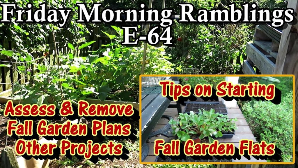 Seeding Fall Garden Flats,  Assessing & Removing Summer Crops, & Tour    FM Gardening Ramblings E-64