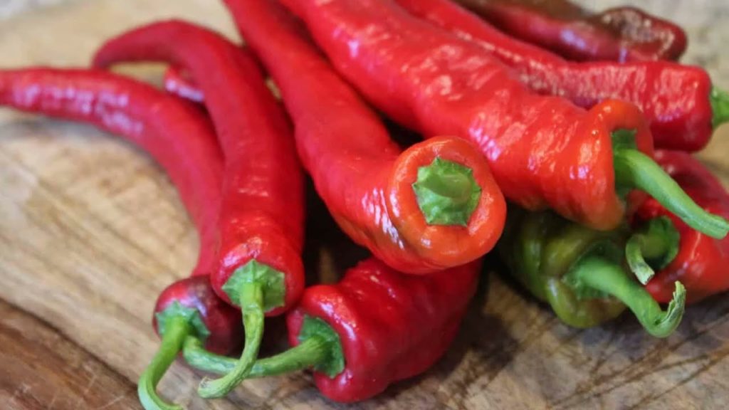 All-America Selections Flowers & Vegetables: Pepper cayenne WIldcat F1 Pepper cayenne WIldcat F1