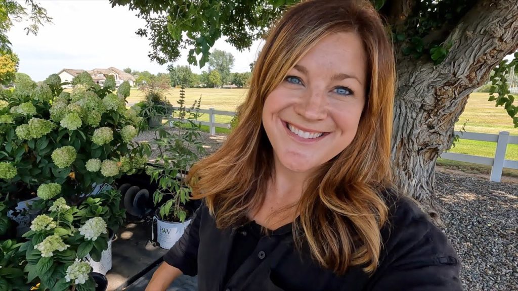 Garden Answer: Planting Gorgeous Shrubs for Full Sun! 🌿☀️💚 // Garden Answer Planting Gorgeous Shrubs for Full Sun! 🌿☀️💚 // Garden Answer