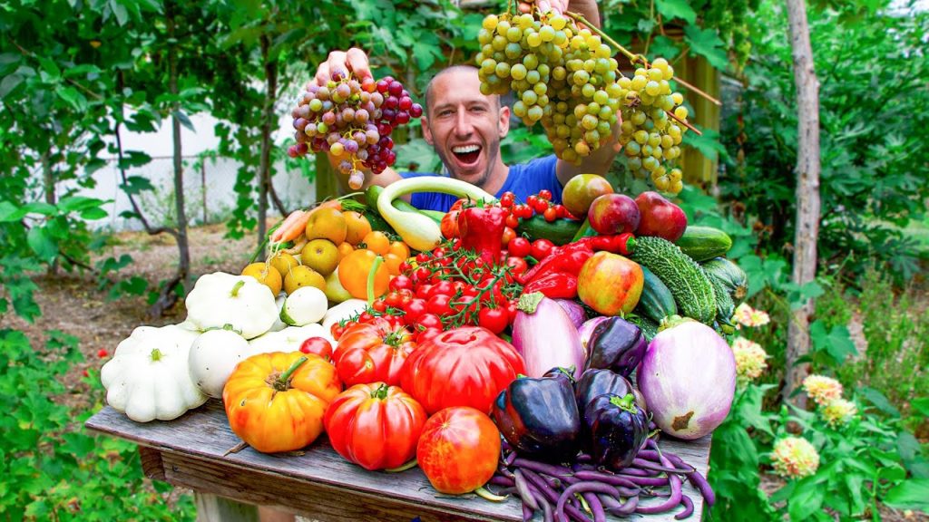 Mind-Blowing Backyard Garden Harvest 🤯