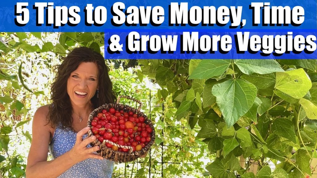 5 Easy Garden Tips to Save Money, Time, and Grow More Vegetables! 💰⏰🥒🍅