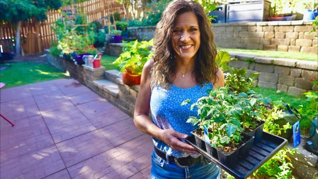 CaliKim: ❓LIVE: Ask Me Anything About Gardening – I'll Answer You Live!! (REPLAY – sound starts at 1:28) ❓LIVE: Ask Me Anything About Gardening - I'll Answer You Live!! (REPLAY - sound starts at 1:28)