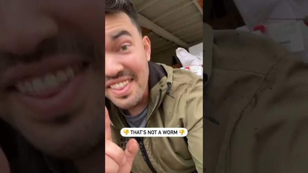 This weird "worm" was digging in my garden bed...