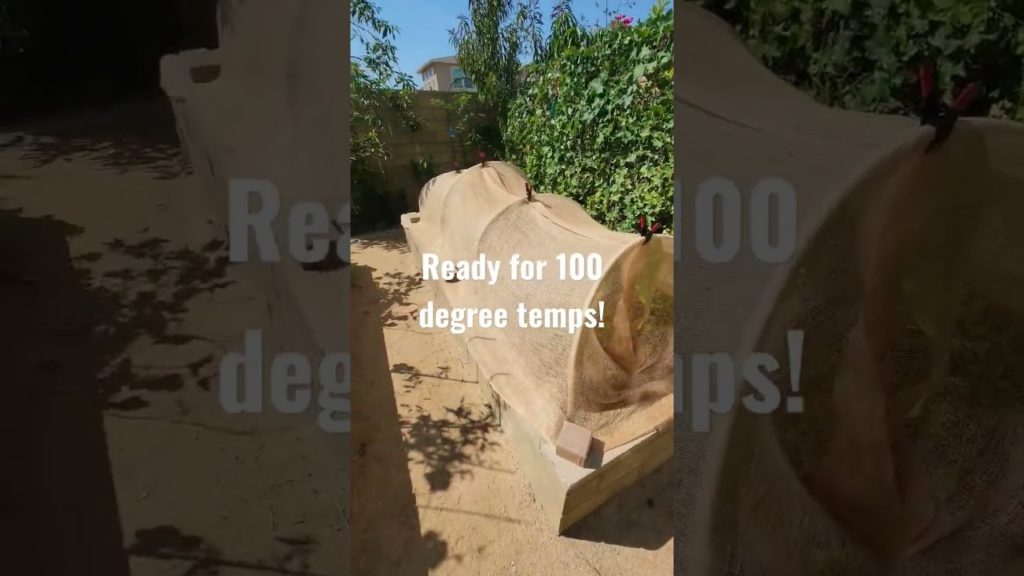 Heatwave is coming! Protect your plants!