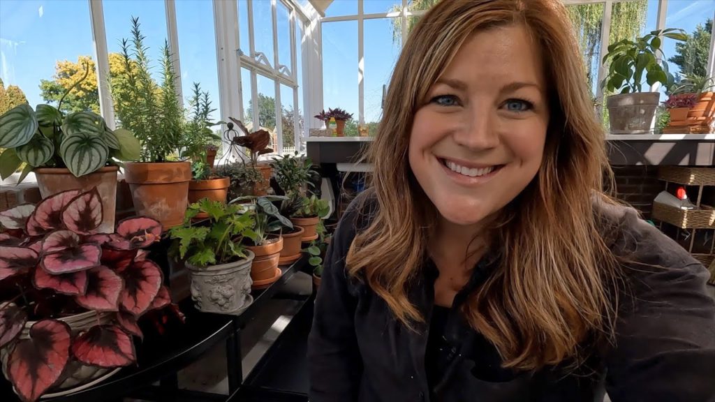 Garden Answer: Big Houseplant Haul (Several Unusual Varieties)! 🌿💚 // Garden Answer Big Houseplant Haul (Several Unusual Varieties)! 🌿💚 // Garden Answer