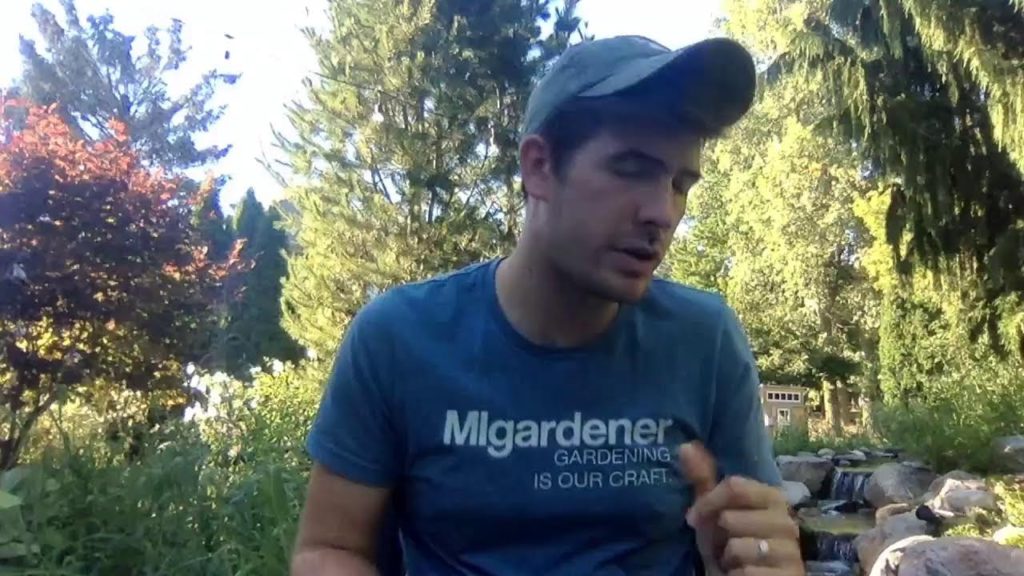 Garden Chat Hangout Answering Your Garden Questions