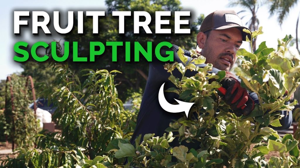 Epic Gardening: Why I'm pruning my fruit trees at the "wrong" time… Why I'm pruning my fruit trees at the "wrong" time...