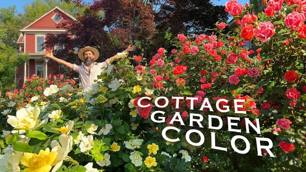 Cottage Garden Design Masterclass - Color