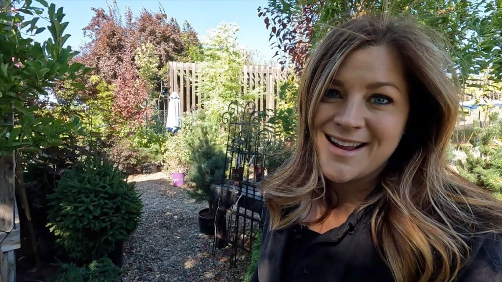 Gathering Supplies to Decorate My Parent’s House for Fall + Planting Perennials from Summer Pots! 🍂🌿