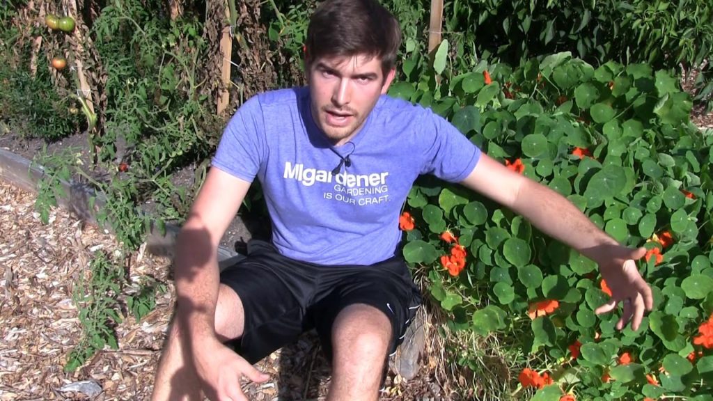 How to Grow Bigger Better Healthier Vegetables Simply!