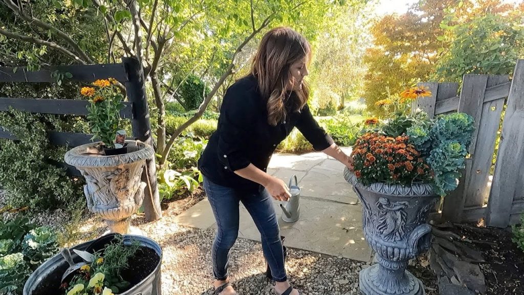 Garden Answer: Decorating My Parentโs House for Fall! ๐๐๐๐พ // Garden Answer Decorating My Parentโs House for Fall! ๐๐๐๐พ // Garden Answer