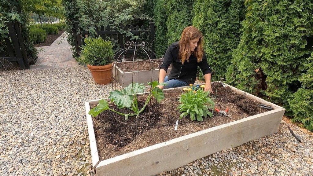 Rooting Tomato Suckers & Planting Tomato Seeds + More Fall Crops! 🍅🥬🥕 // Garden Answer