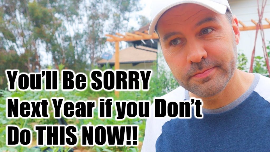 Do This One Simple Thing NOW for Success in Next Year's Garden!