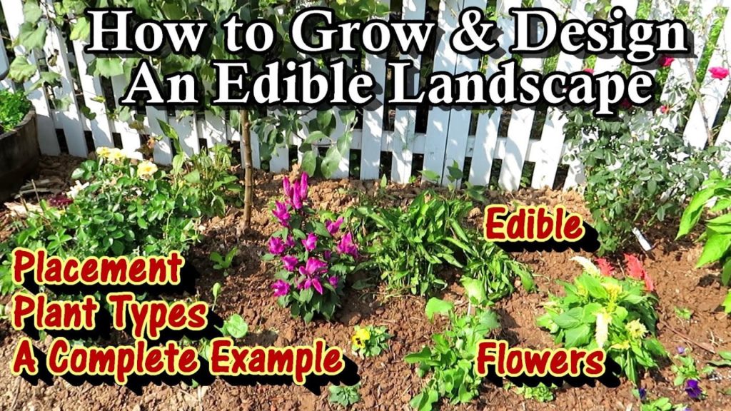 Gary Pilarchik: Planting & Design Principles for an Edible Landscape: Fruit Trees, Berries, Greens & Edible Flowers Planting & Design Principles for an Edible Landscape: Fruit Trees, Berries, Greens & Edible Flowers